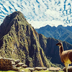machupicchu hike