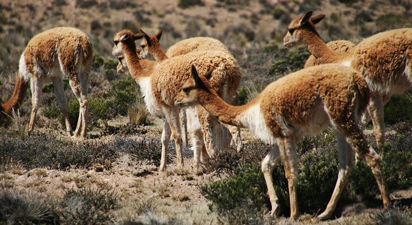 Monastery Santa Catalina